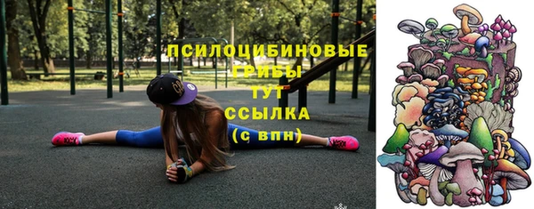 первитин Алексеевка