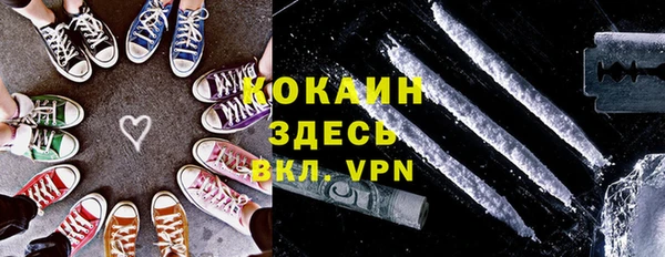 тгк Алексин
