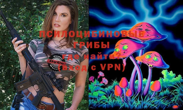 не бодяженный Алзамай